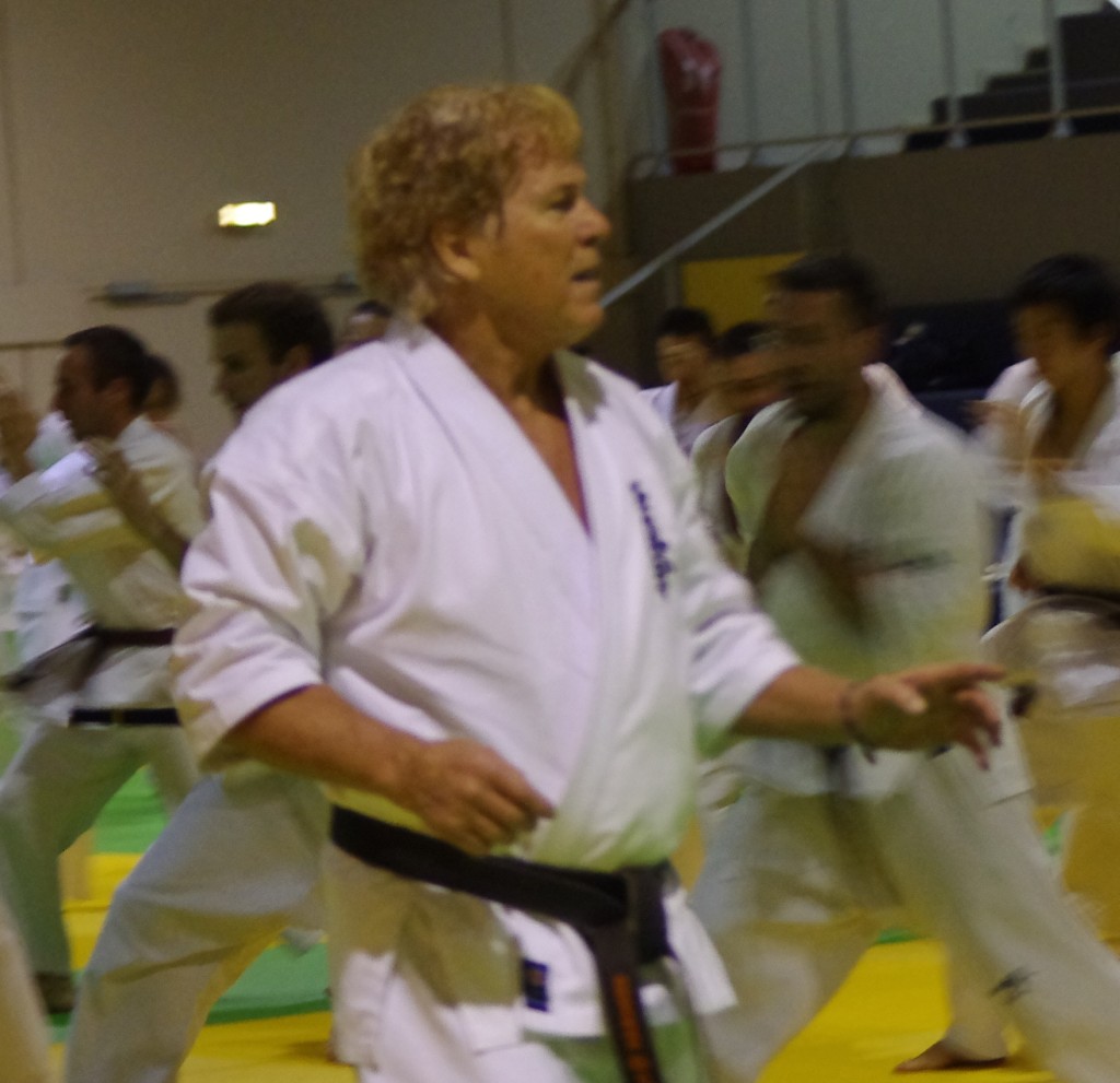 Stage exceptionnel avec Shihan André Gilbert