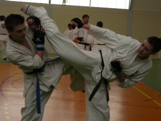 Kyokushin Celtic Challenge 2013...