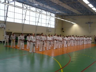 Kyokushin Celtic Challenge 2013...