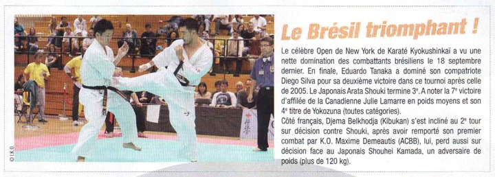 Le Brésil Triomphant - karaté Bushido novembre 2010