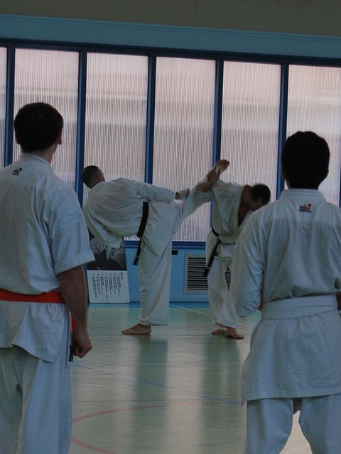 Un membre de l'équipe de France Kyokushin à Lyon.