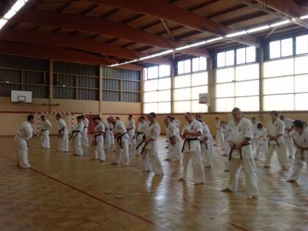 PÔLE FRANCE KYOKUSHINKAI, la sélection 2011 est tombée...