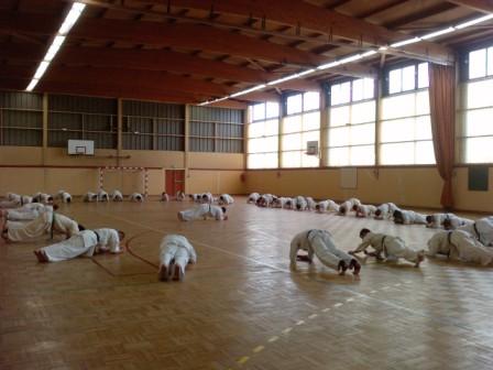 PÔLE FRANCE KYOKUSHINKAI, la sélection 2011 est tombée...
