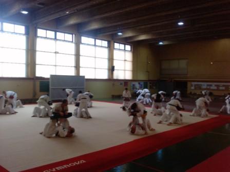 PÔLE FRANCE KYOKUSHINKAI, la sélection 2011 est tombée...