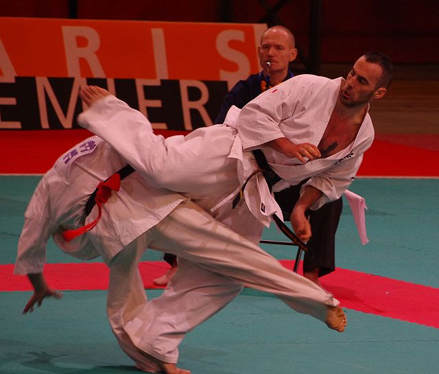 All France Kyokushin Paris 2011, Navarro, la Renaissance…