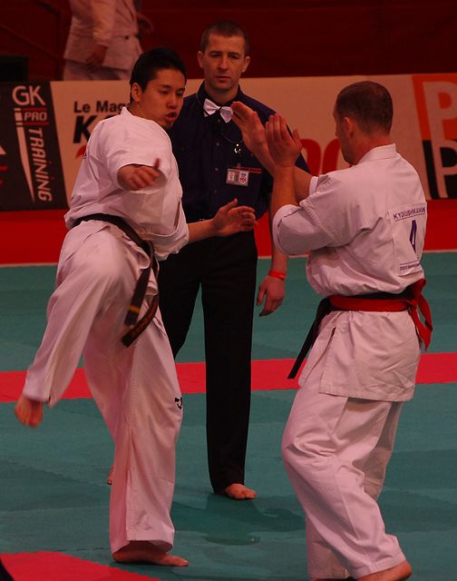 All France Kyokushin Paris 2011, Navarro, la Renaissance…