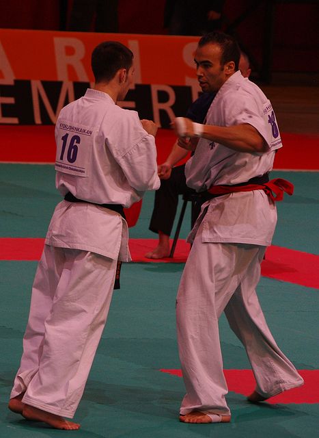 All France Kyokushin Paris 2011, Navarro, la Renaissance…