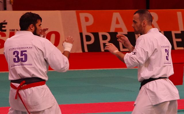 All France Kyokushin Paris 2011, Navarro, la Renaissance…
