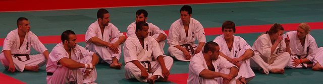 All France Kyokushin Paris 2011, Navarro, la Renaissance…