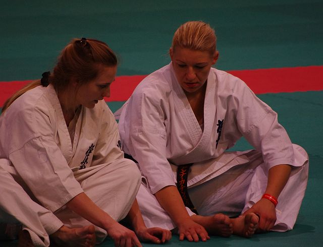 All France Kyokushin Paris 2011, Navarro, la Renaissance…