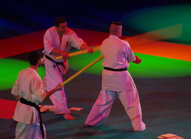 Le Kyokushin Bas-Normand en démonstration à Bercy...
