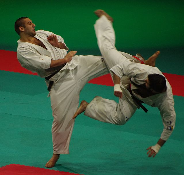 All France Kyokushin Paris 2011, Navarro, la Renaissance…