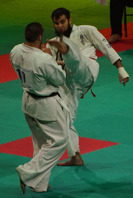 All France Kyokushin Paris 2011, Navarro, la Renaissance…
