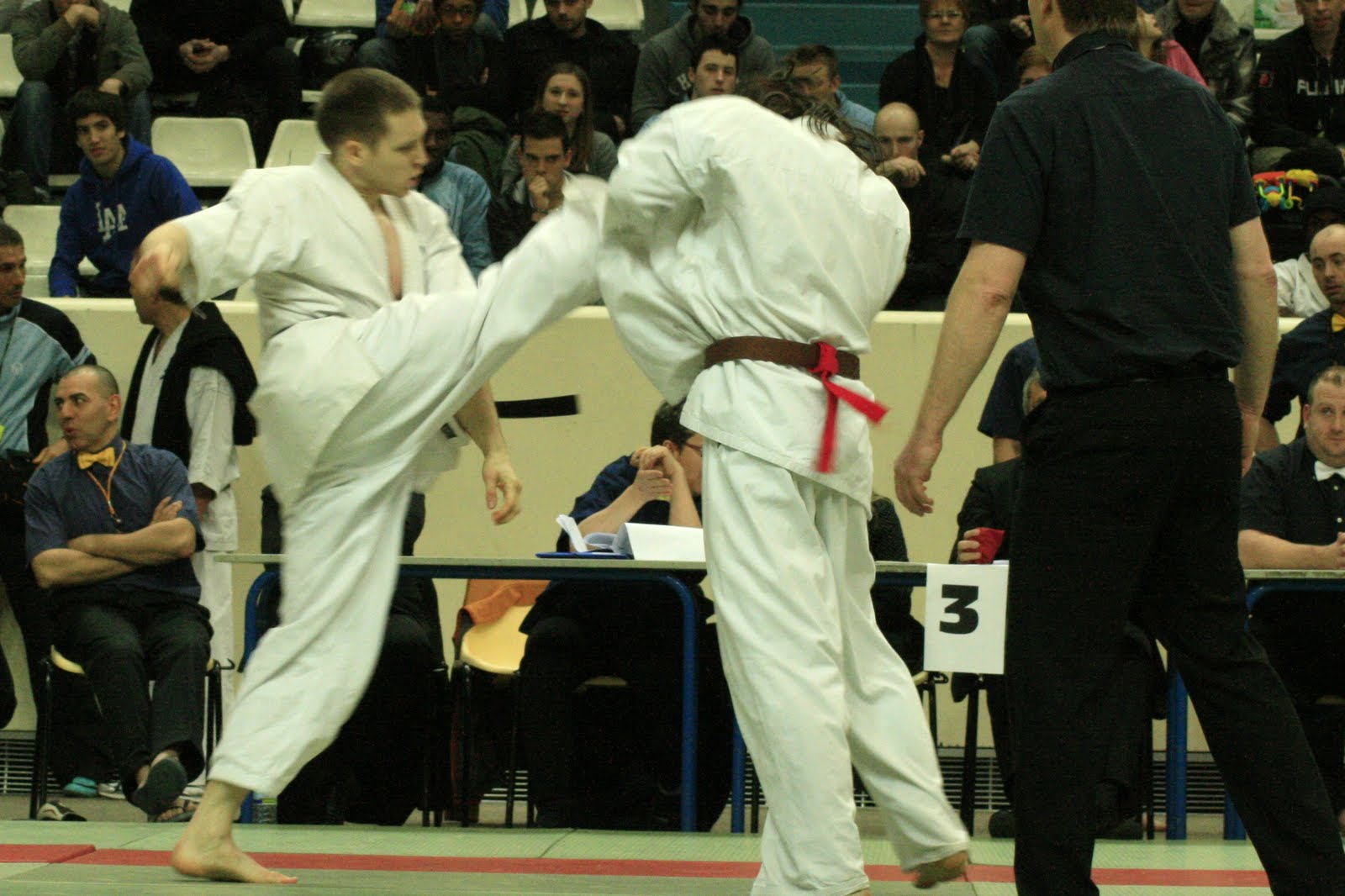 Coupe de France KYOKUSHIN FFKDA 2011, la Rafle IKO...
