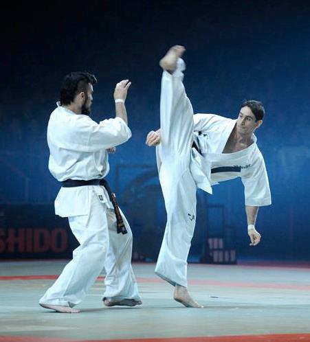 Stage National France-Kyokushin 2013...