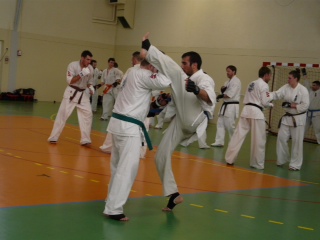 Kyokushin Celtic Challenge 2013...