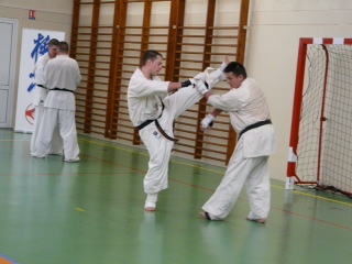Kyokushin Celtic Challenge 2013...