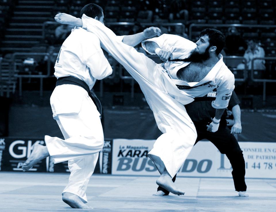 Stage National France-Kyokushin 2013...