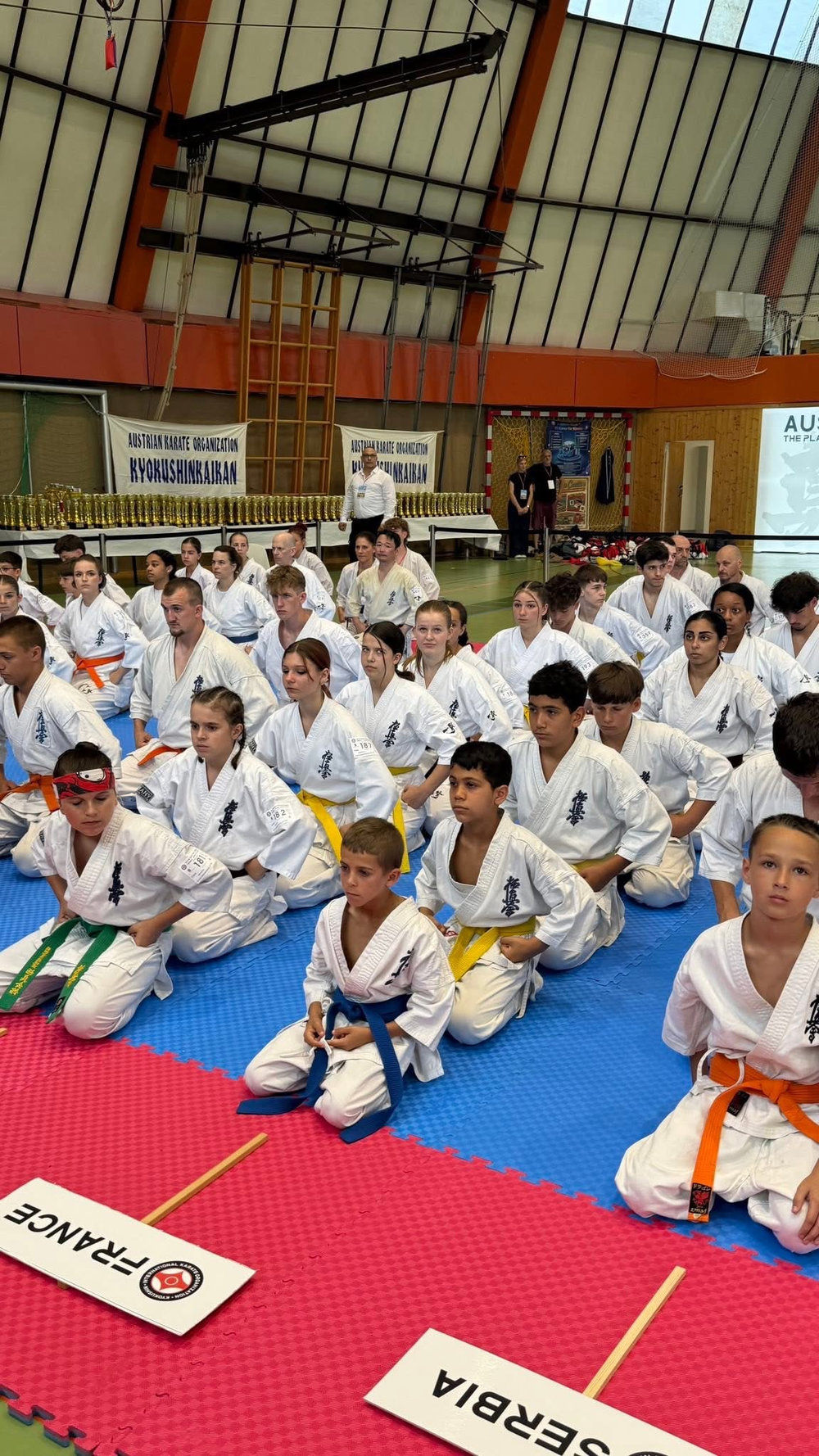 Ayrton Hannart s’illustre à l'Open d'Autriche de karaté Kyokushinkai